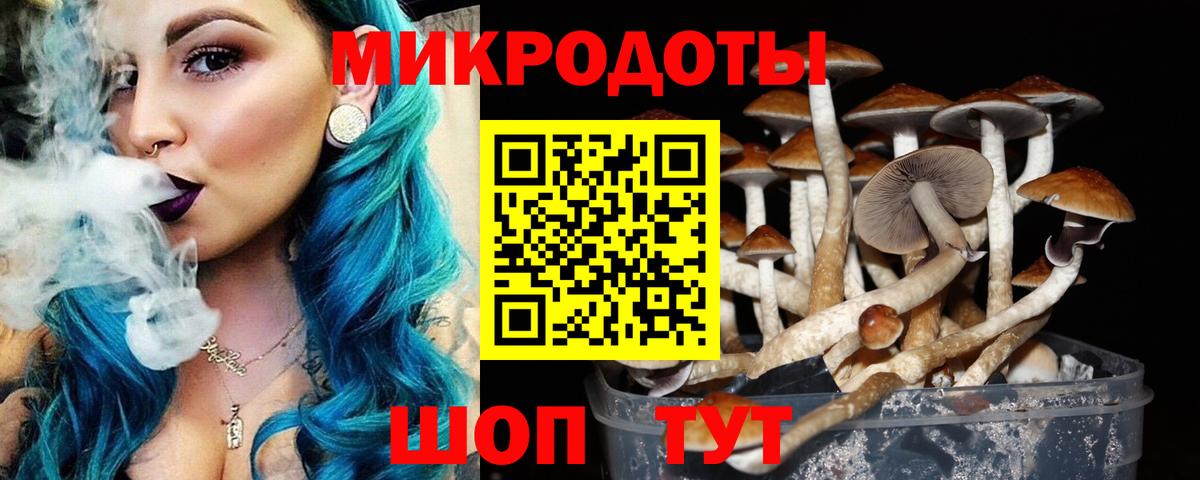 Камышин  Псилоцибиновые грибы Psilocybe  Вход с VPN 