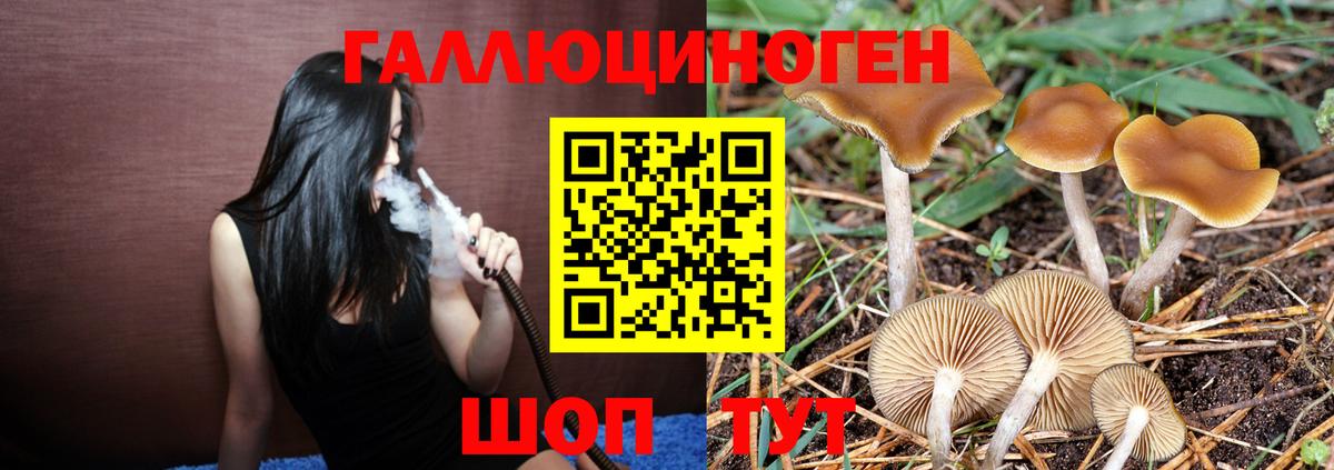 Псилоцибиновые грибы Magic Shrooms Камышин